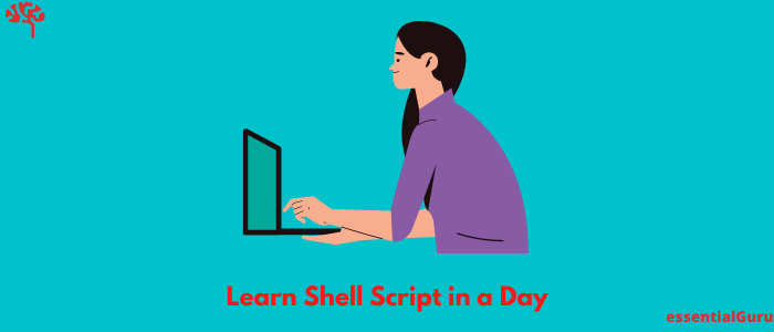 learn shell scripting course for beginners free